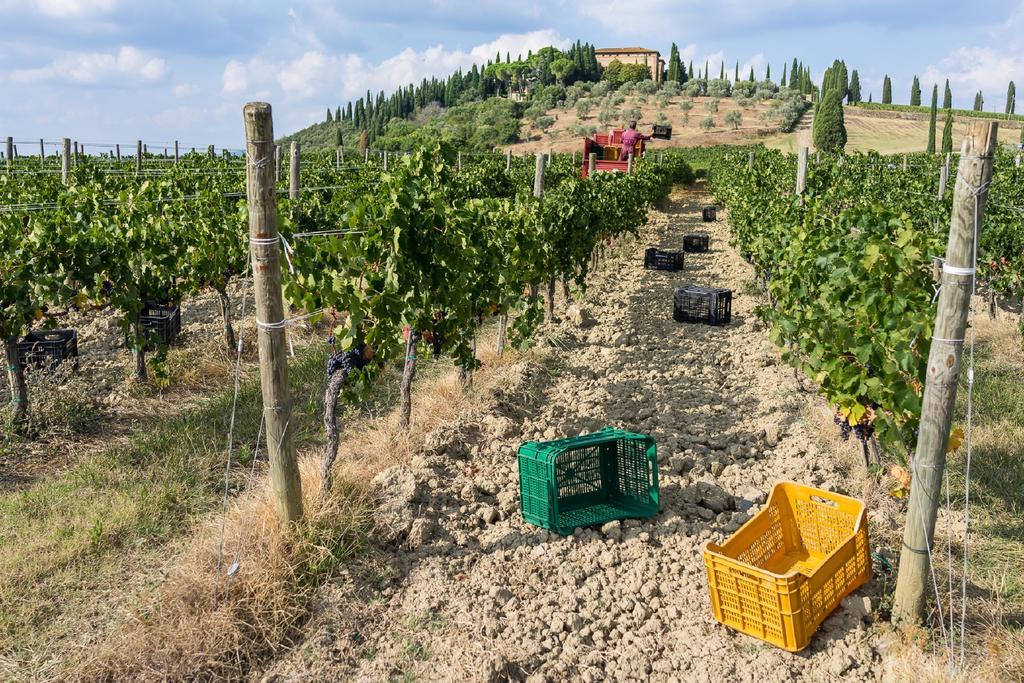 Argiano Dimore Wine Relais Ngoại thất bức ảnh